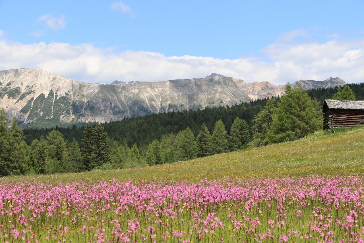 Hotel Alpenrose Dolomites La Valle Eksteriør bilde