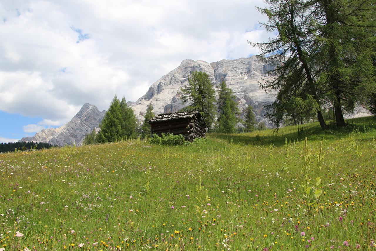 Hotel Alpenrose Dolomites La Valle Eksteriør bilde