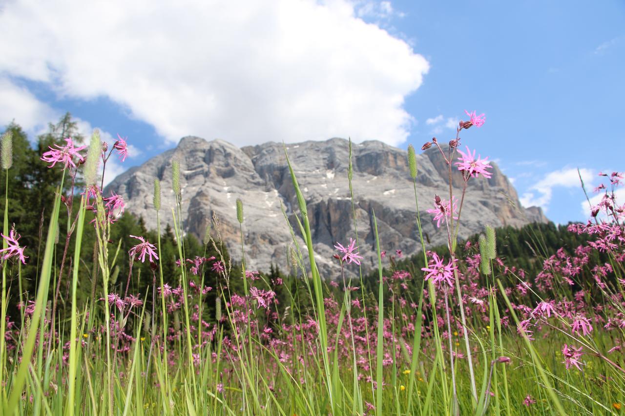 Hotel Alpenrose Dolomites La Valle Eksteriør bilde